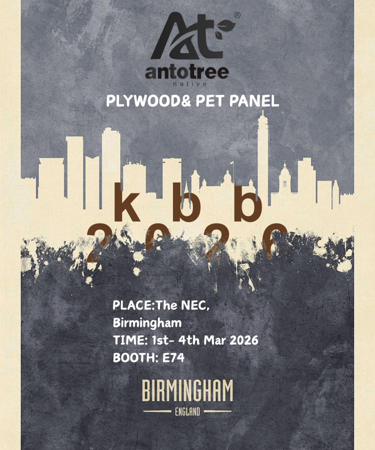 手机独立站750600banner (5)