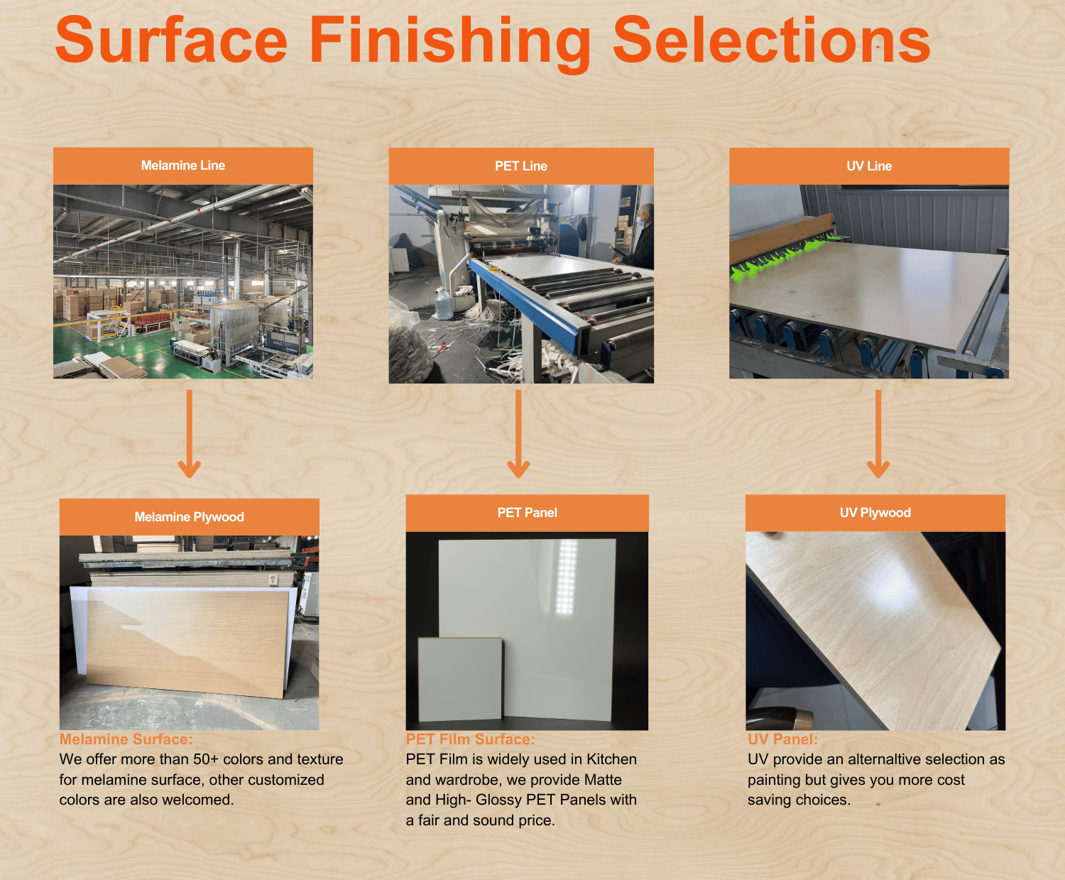 3.Why choose us---FAQ