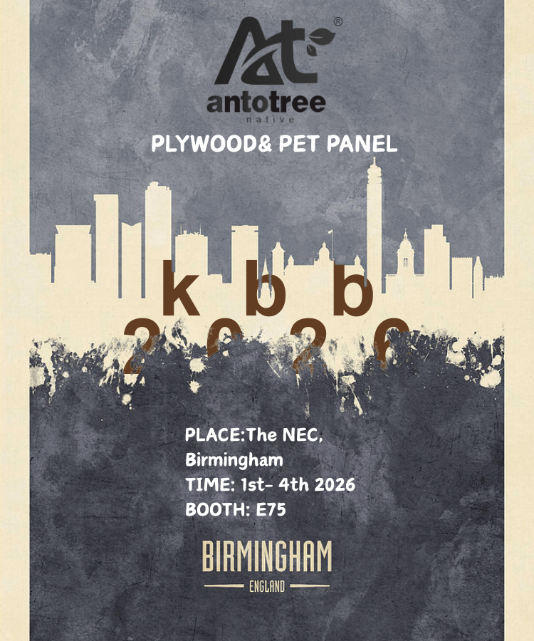 手机独立站750600banner (4)