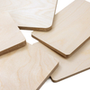 Birch Plywood