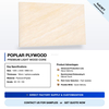 China Commerical Poplar Plywood