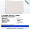 Birch Plywood China Hardwood B/BB Birch Surface